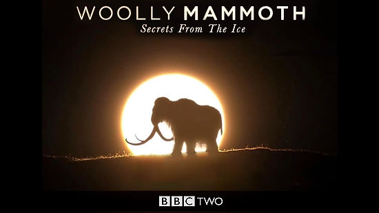 BBC 1 Woolly Mammoth: Secrets from the Ice